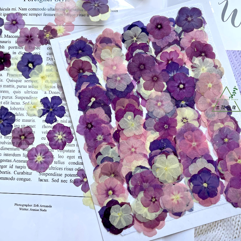 12pcs,Semi-Transparent Niche P – обзор и цена Resin Craft Ideas
