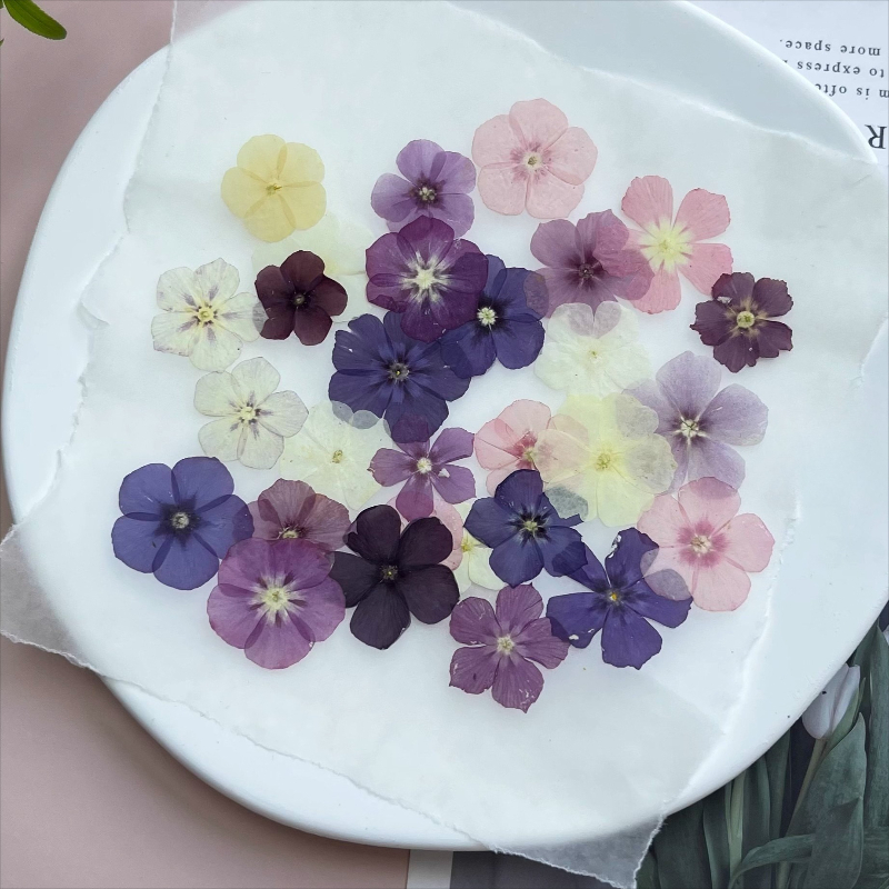 12pcs,Semi-Transparent Niche P – обзор и цена Resin Craft Ideas