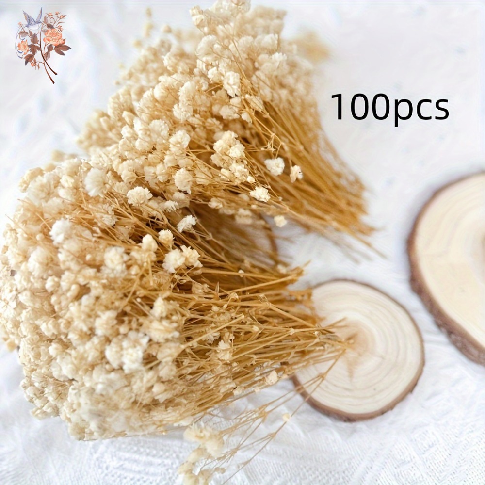 100pcs Mini Dried Baby's Breat – обзор и цена Resin Craft Ideas